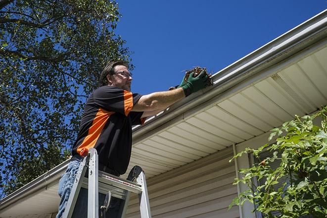 a repairman inspecting a clogged gutter for debris in Ashley, PA